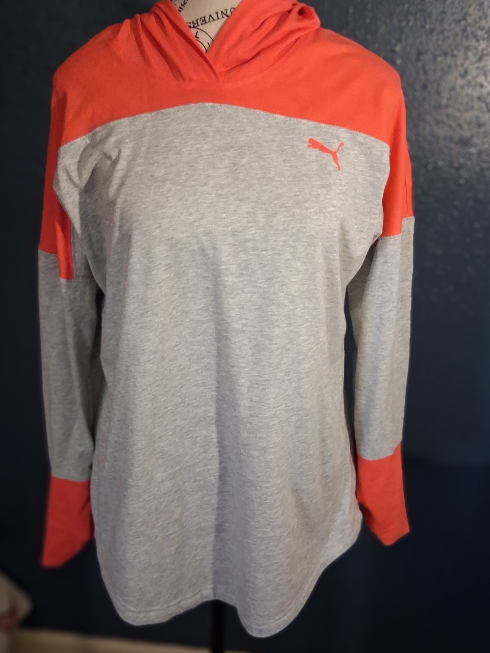 Puma Gray and Coral Hooded Long Sleeve Top